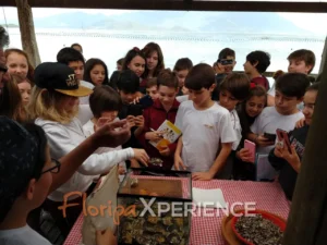 Crianças com o aquário de ostras no Ostra Xperience Kids